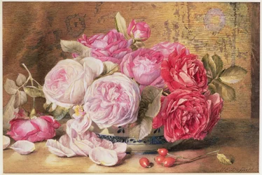 Rosa und rote Rosen in einer Schale